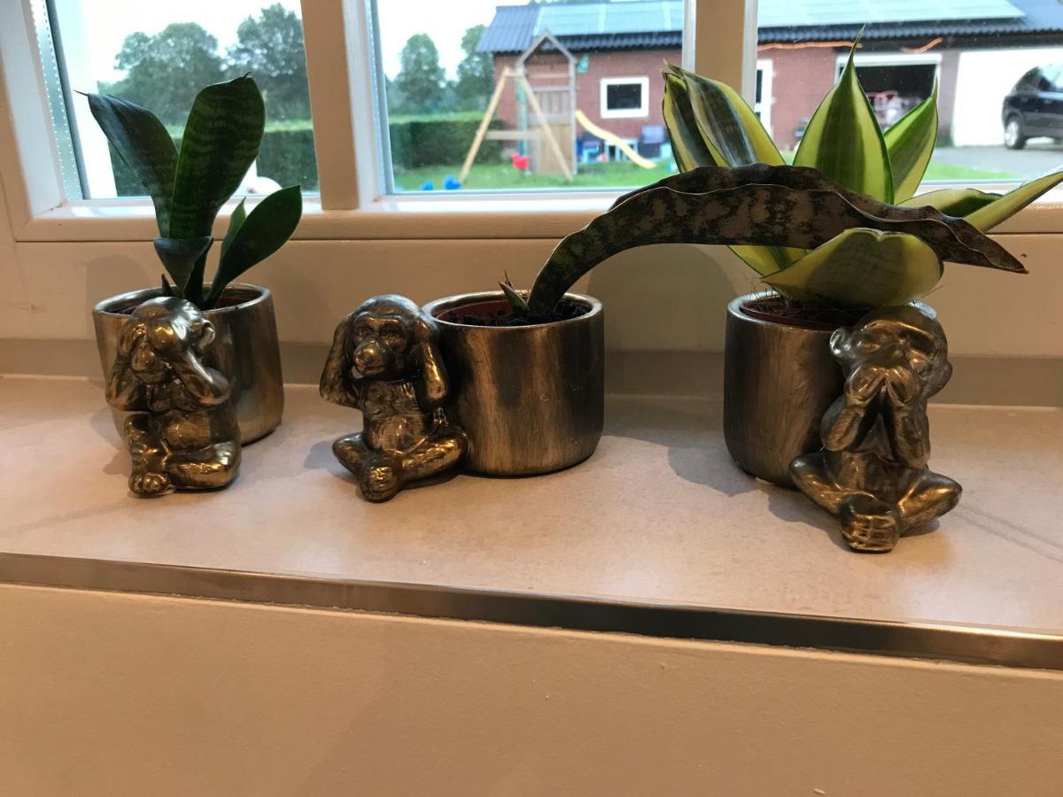 Saromaja Bed & Breakfast Ambt Delden Eksteriør bilde